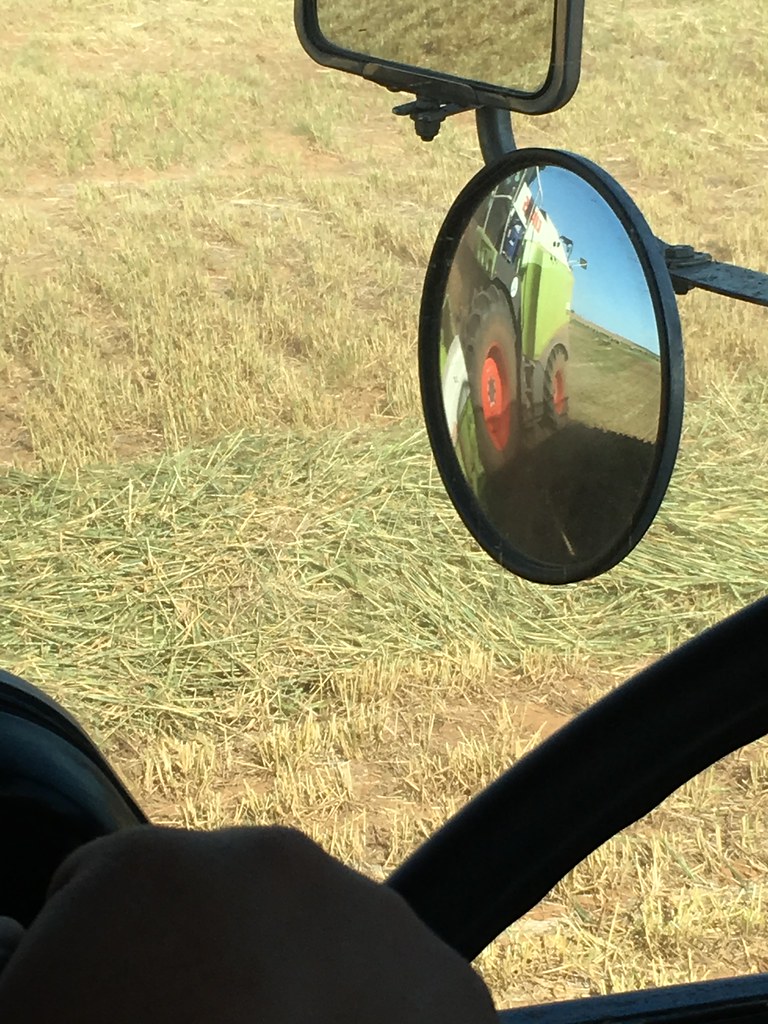 Emma: new horizons! Custom chopping