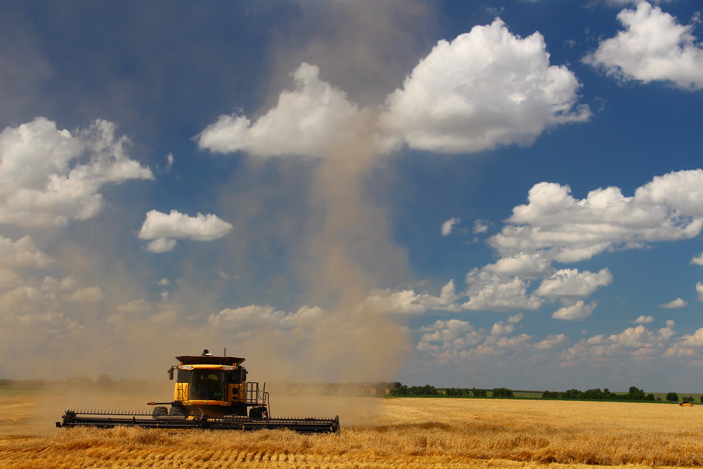 Flashback to Kansas.