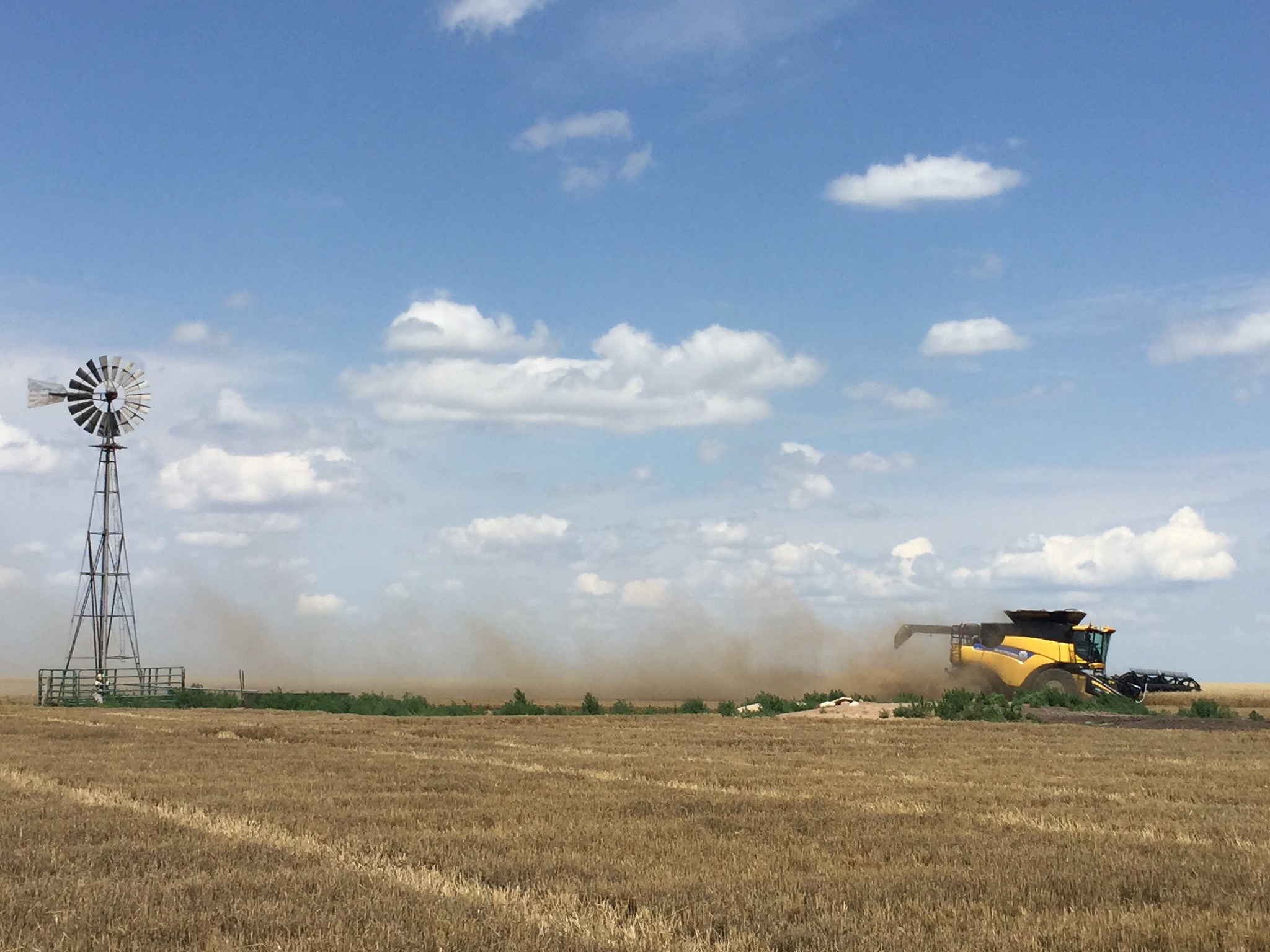 There's movement AND dust!