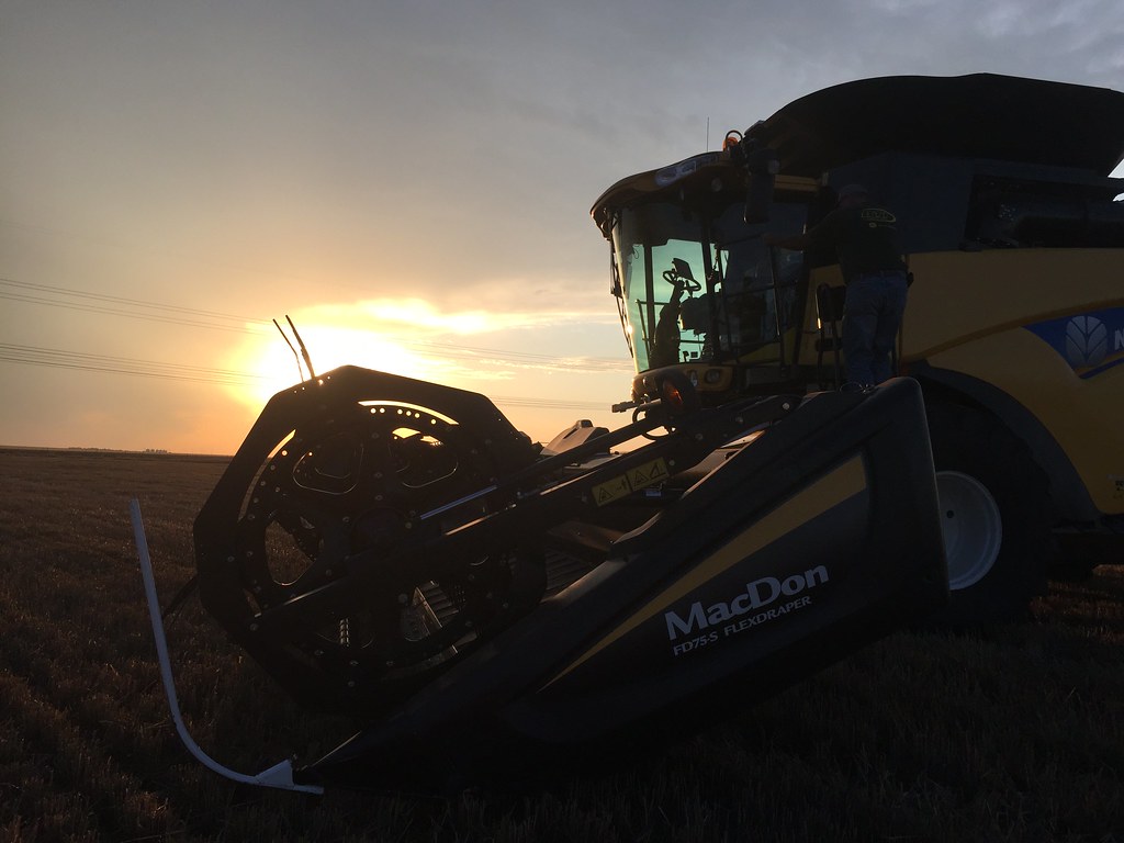 The end of a frustrating day!