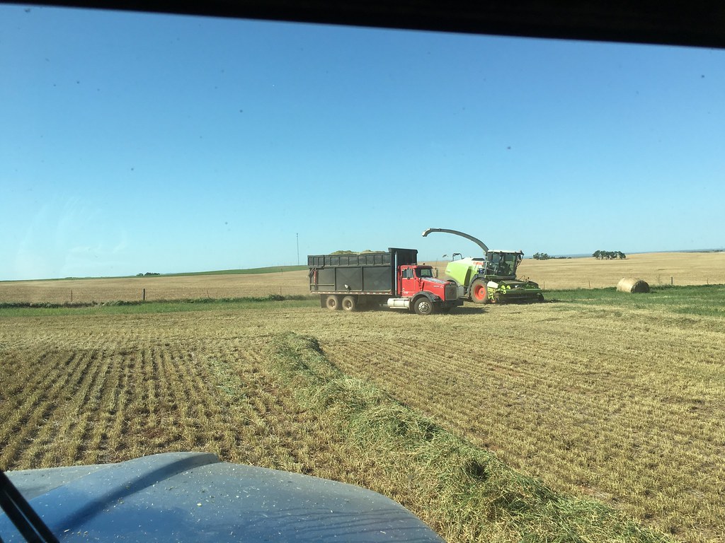 Emma: new horizons! Custom chopping