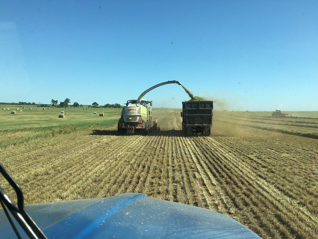 Emma: new horizons! Custom chopping