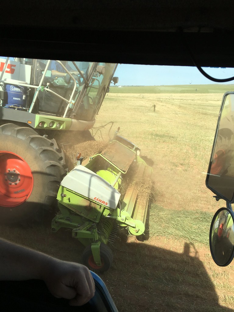 Emma: new horizons! Custom chopping