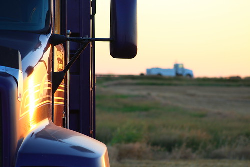 The best lighting is just before/during sunset.