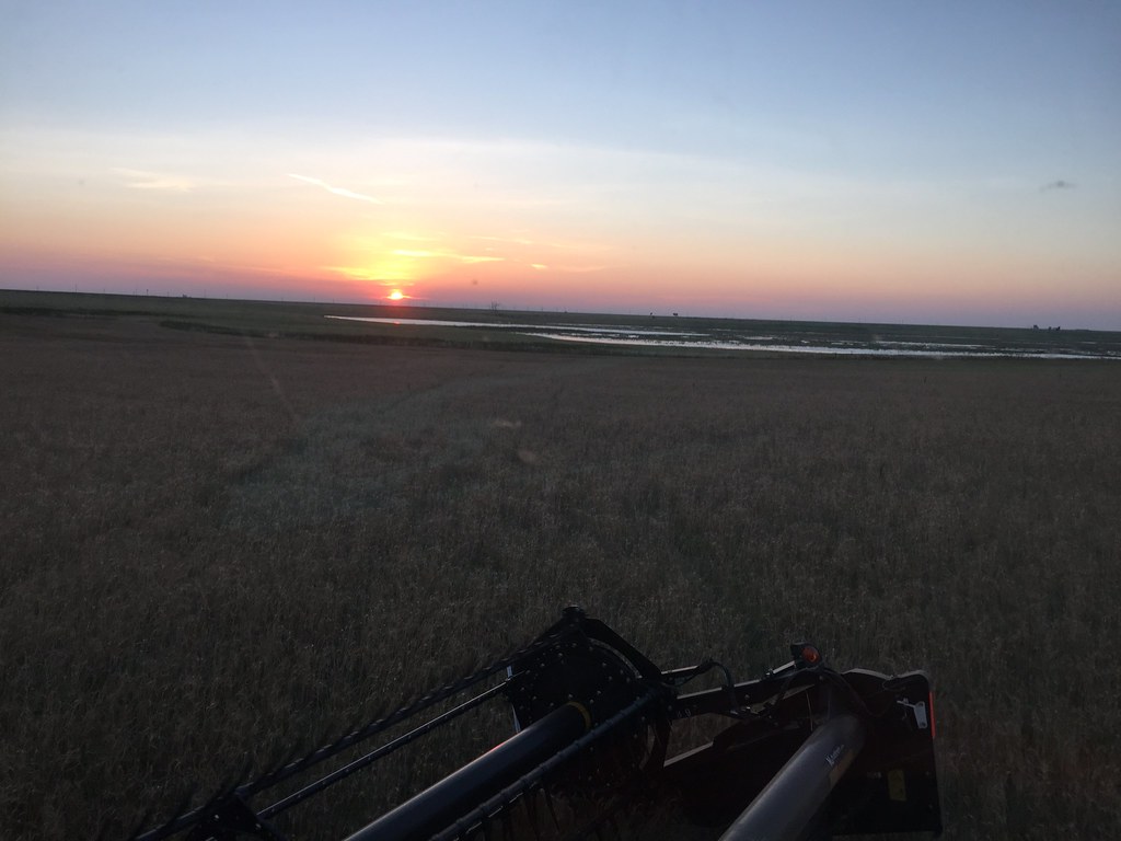 Z Crew: It's what you do when you're a harvester.