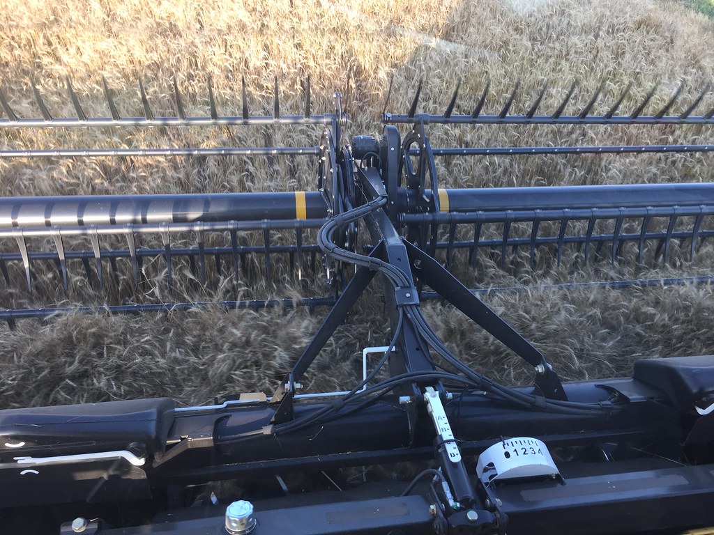 Z Crew: It's what you do when you're a harvester.