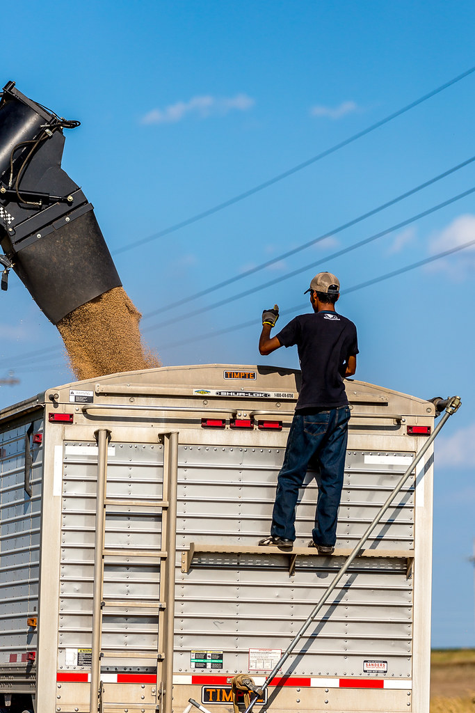 6-20-16 HPH Gorham, Kansas Harvest Photos - Laura-7