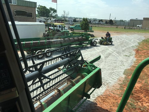 Emma:fixing heads in elk