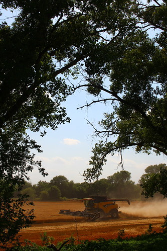 Reminds me of The Jungle Book.