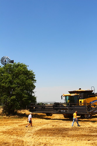 Farmer Sheldon going to take a combine ride.