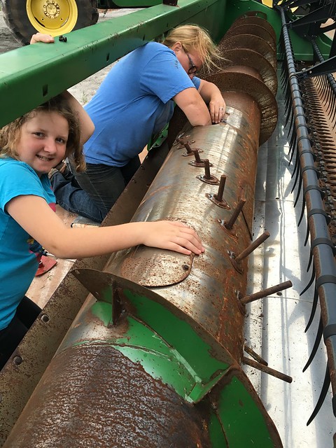 Emma:fixing heads in elk