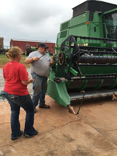 Emma:fixing heads in elk