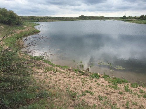 Z Crew: It's what harvesters do.