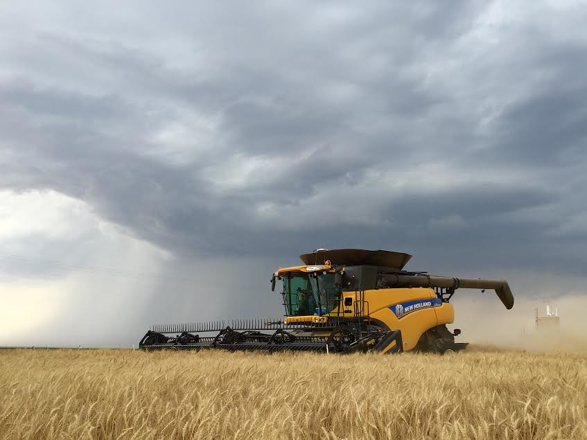 0cbcc2f9-a32a-49d3-98e3-724a40be5b72