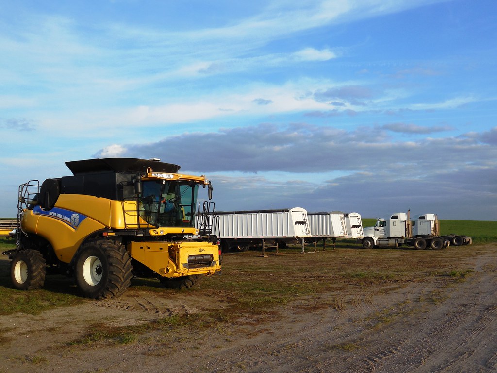 Equipment in the yard