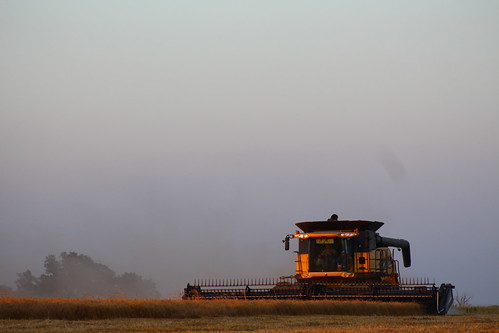 Combining a new field!