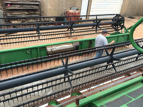 Emma:fixing heads in elk