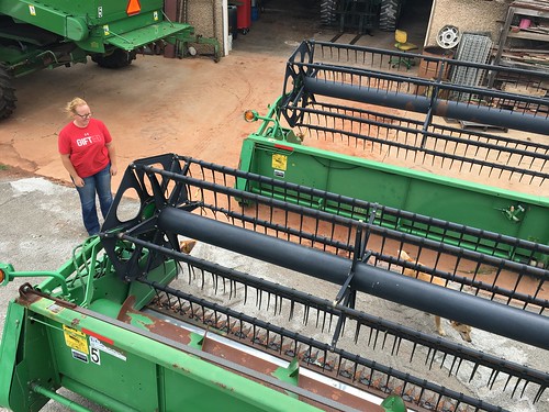 Emma:fixing heads in elk