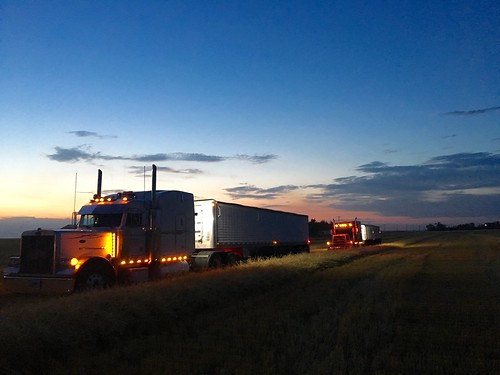 Dusk hauling.