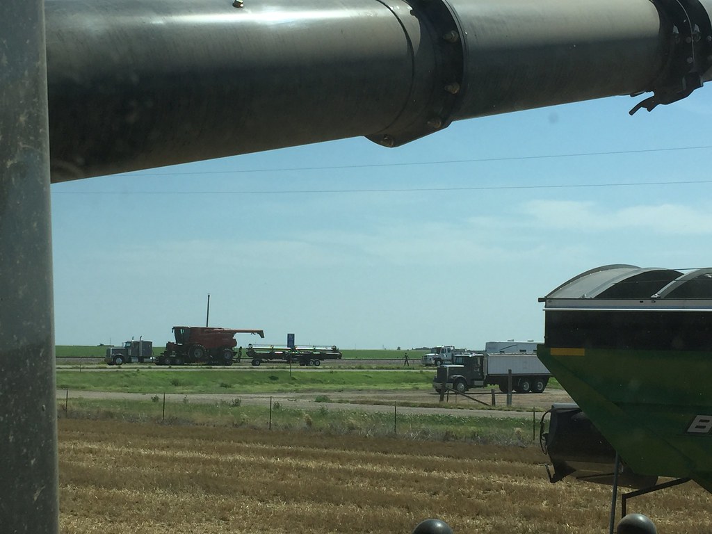 Z Crew: It's what you do when you're a harvester.