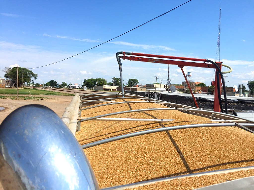 And yet ANOTHER moisture test.