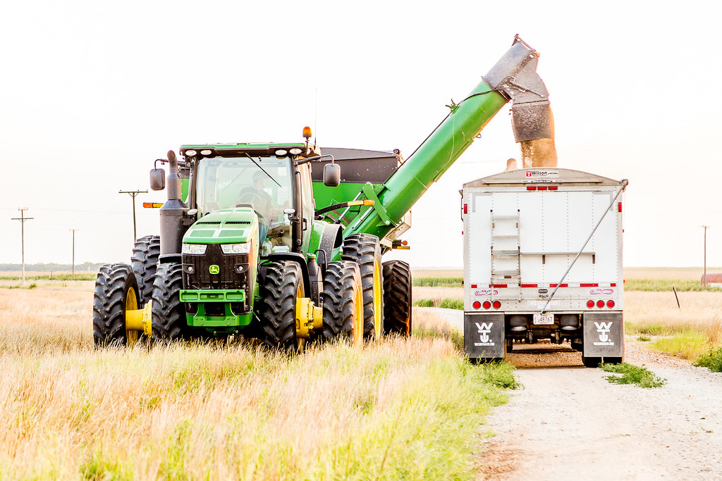 6-9-16 HPH Texas Harvest Photos - Laura-9