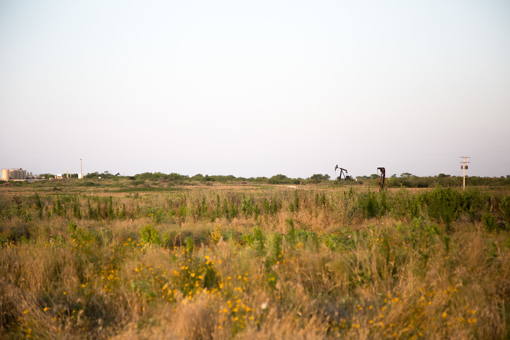 6-9-16 HPH Texas Harvest Photos - Laura-2