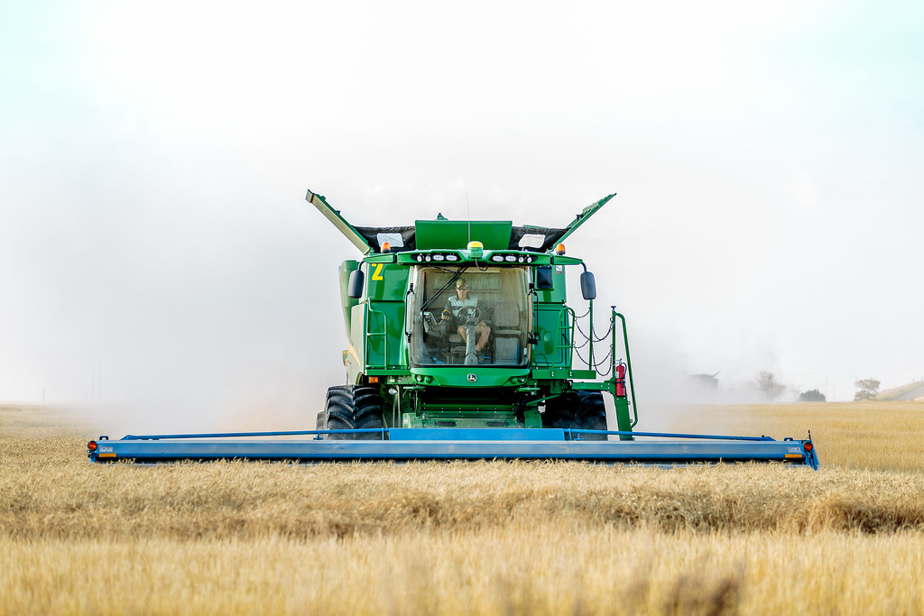 6-20-16 HPH Gorham, Kansas Harvest Photos - Laura-10