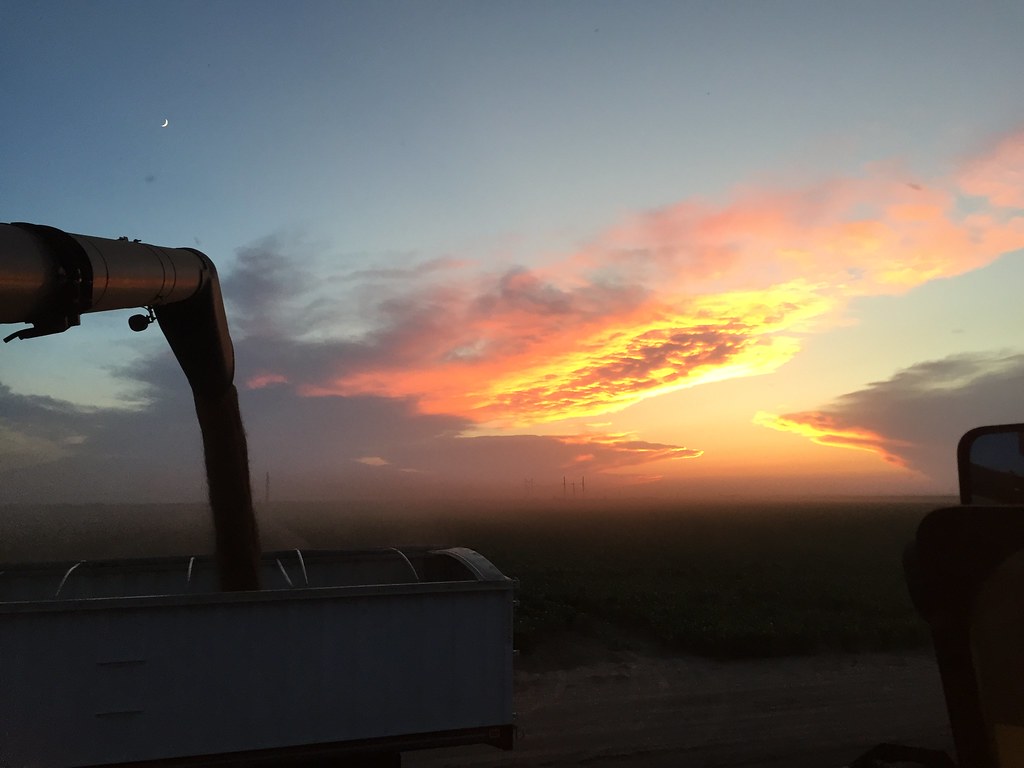 Z Crew: Because it's what harvesters do.