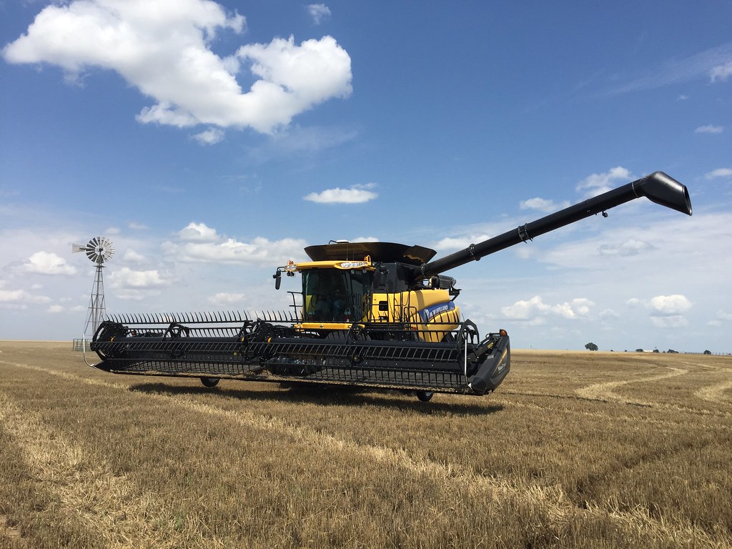 Z Crew: This is what it looks like when you're cutting wheat.