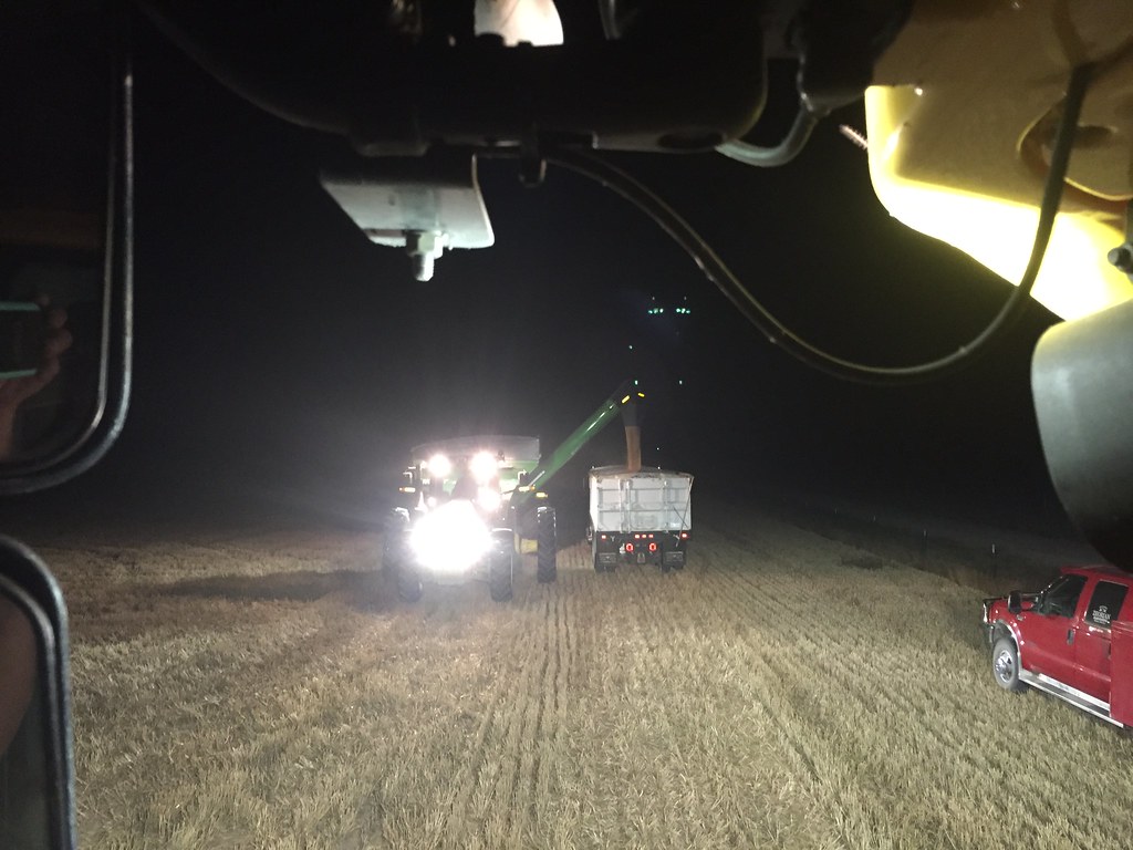 Z Crew: We actually cut wheat today!