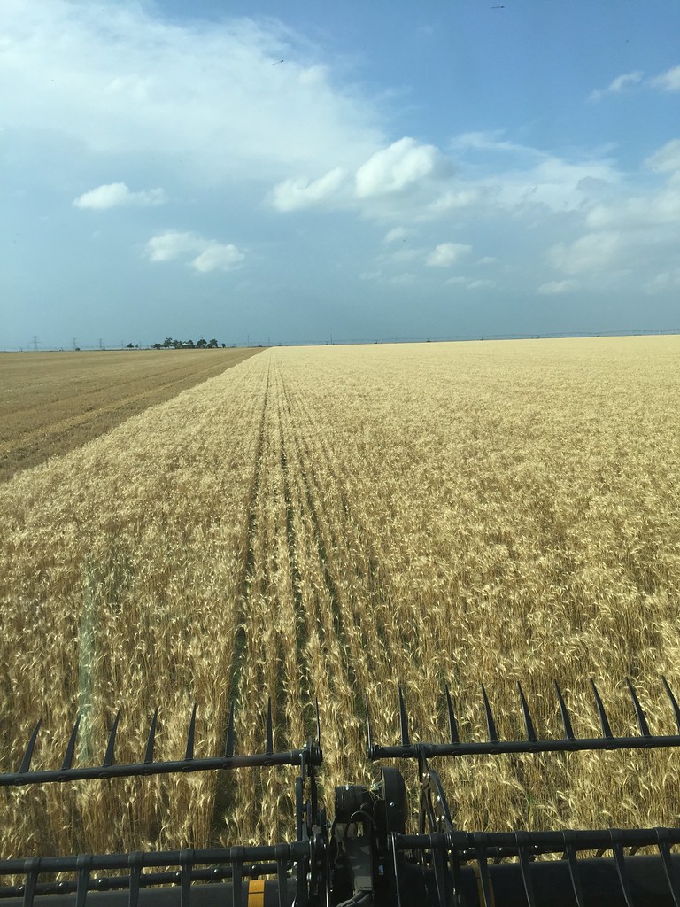 Z Crew: The storm was beginning to show signs of being a threat.