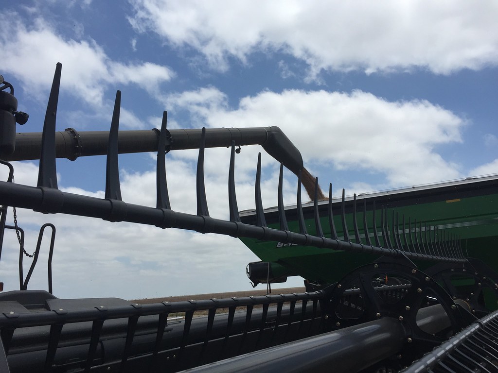 Z Crew: This is what it looks like when you're cutting wheat.