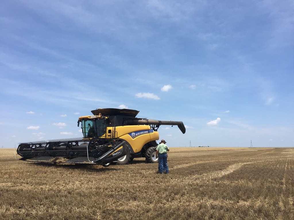 Z Crew: Jim and our farmer discussing what to do.