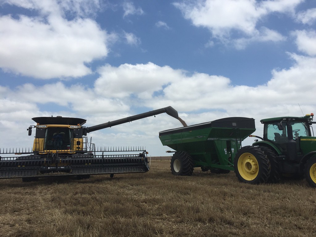 Z Crew: This is what it looks like when you're cutting wheat.