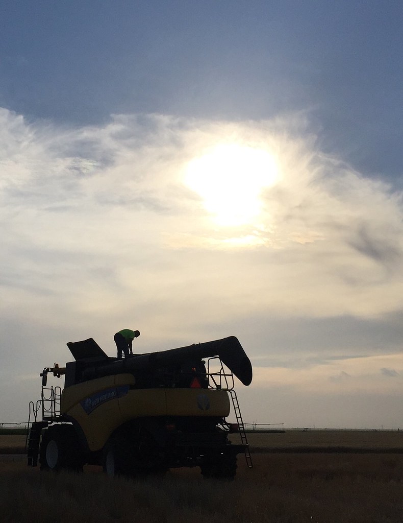 Z Crew: because it's what harvesters do.