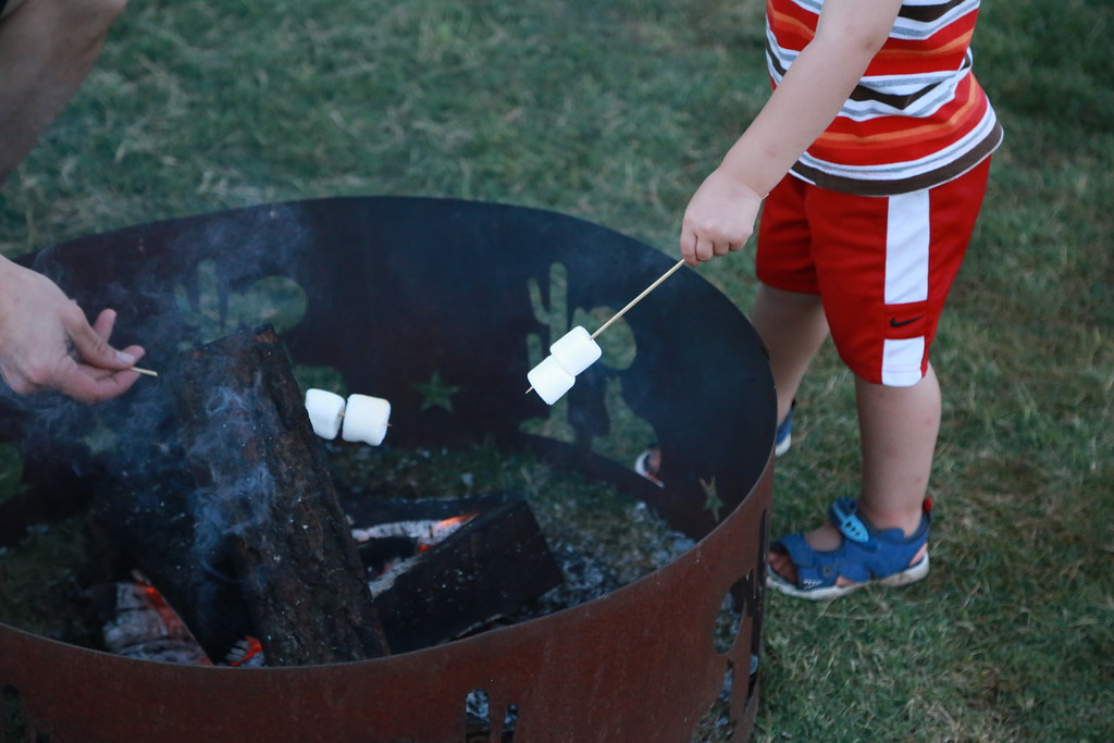 HPH - S'mores with dad!