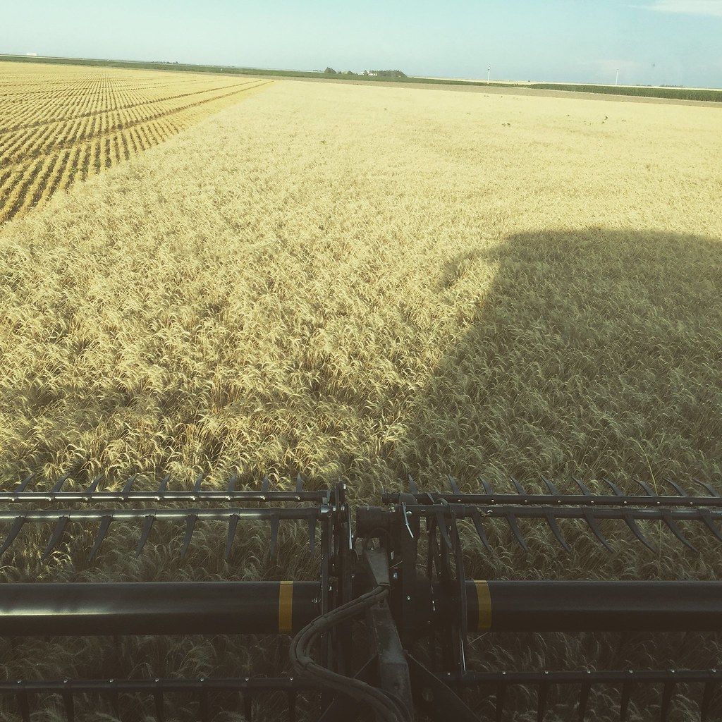 Z Crew: Because it's what harvesters do!