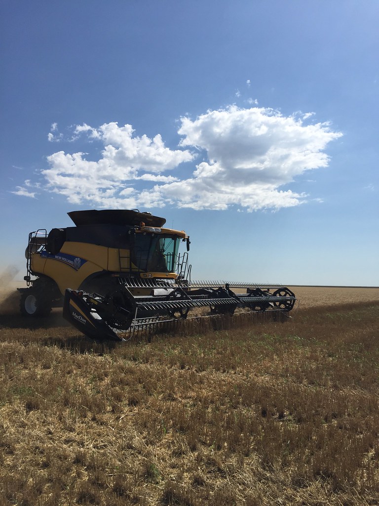 Z Crew: It's what you do when you're a harvester.