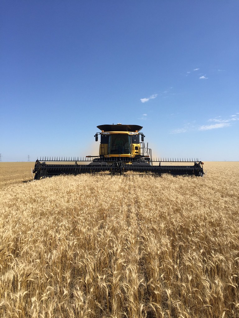 Z Crew: It's what you do when you're a harvester.