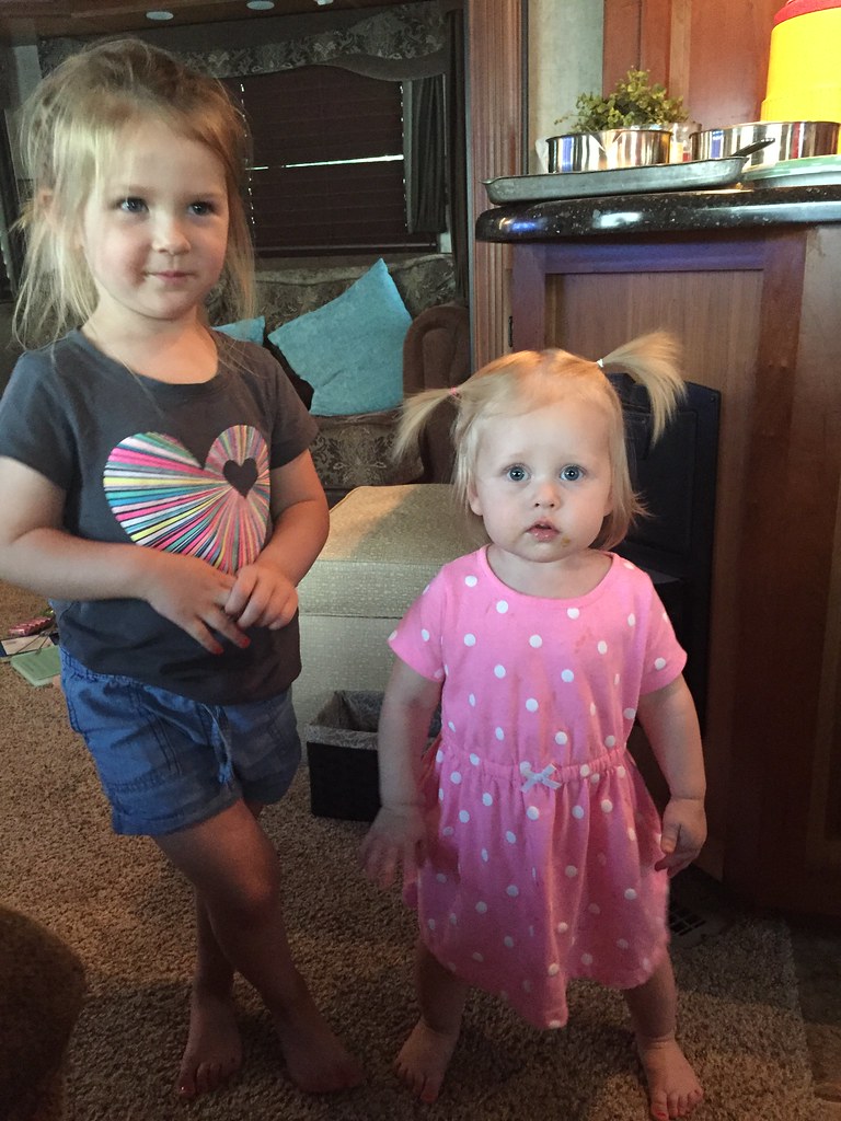 Z Crew: It's what harvesters do.