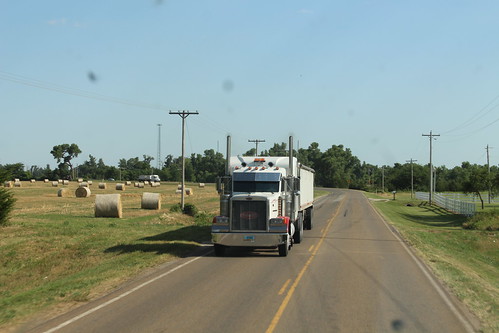 Found Peter on the road!