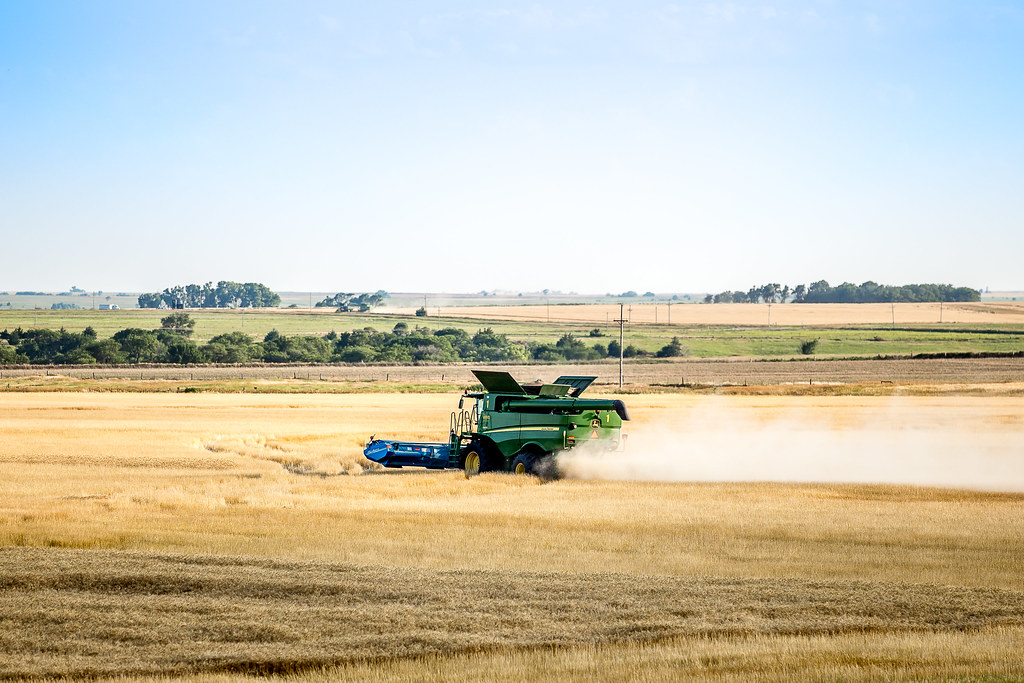 6-20-16 HPH Gorham, Kansas Harvest Photos - Laura-11