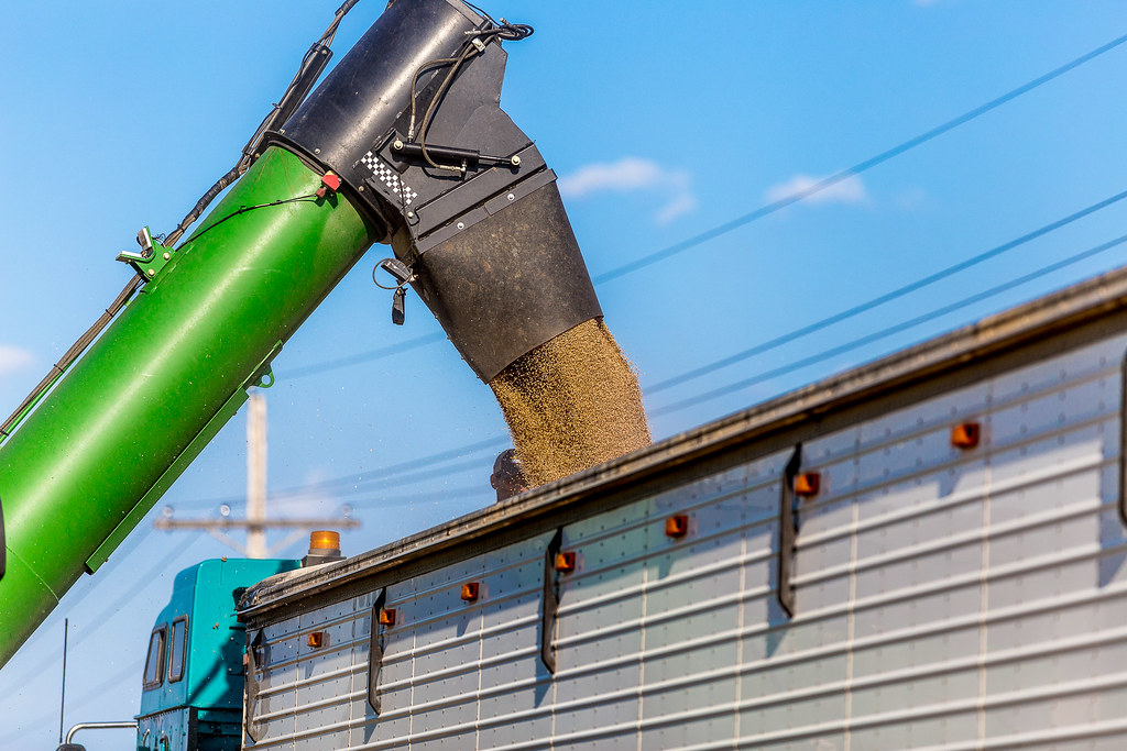 6-20-16 HPH Gorham, Kansas Harvest Photos - Laura-4
