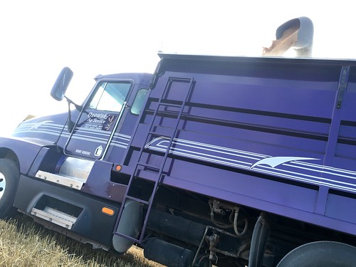 Unloading into Purple.