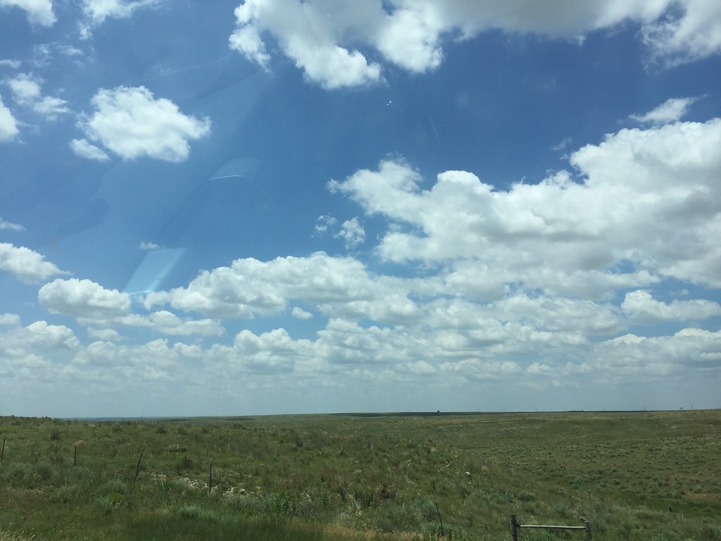 Z Crew: It's what you do when you're a harvester.