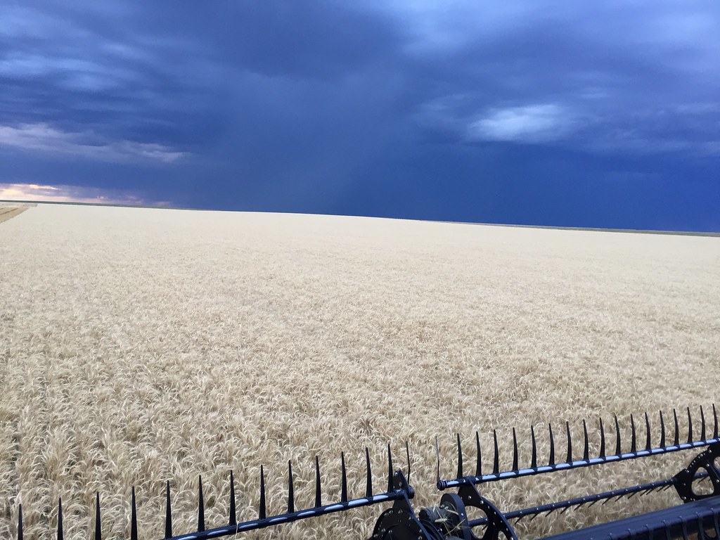 Z Crew: Because it's what harvesters do.