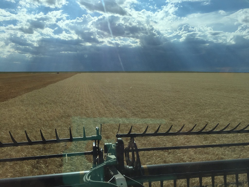 Z Crew: Because it's what harvesters do.