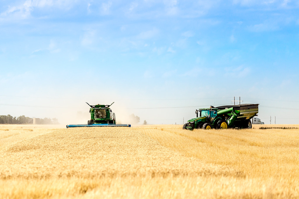 6-20-16 HPH Gorham, Kansas Harvest Photos - Laura