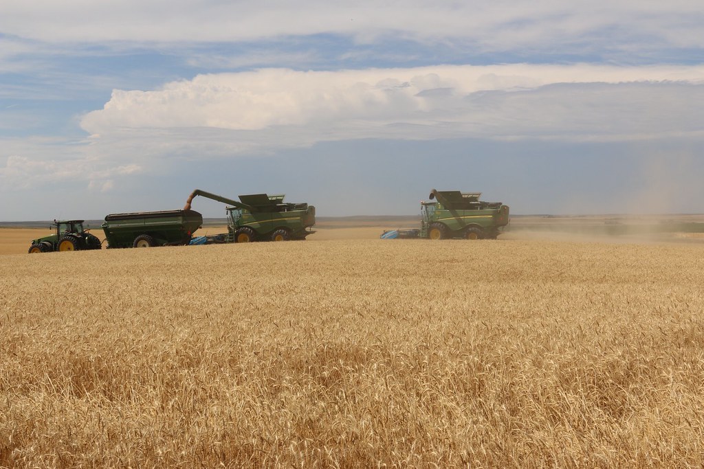 HPH-2016-Morgan County, Colorado